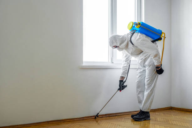 Best Fumigation Services  in Greenwood, IN